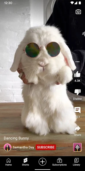 YouTube Premium RVX — screenshot 6